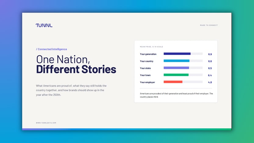 One Nation, Different Stories PDF cover download