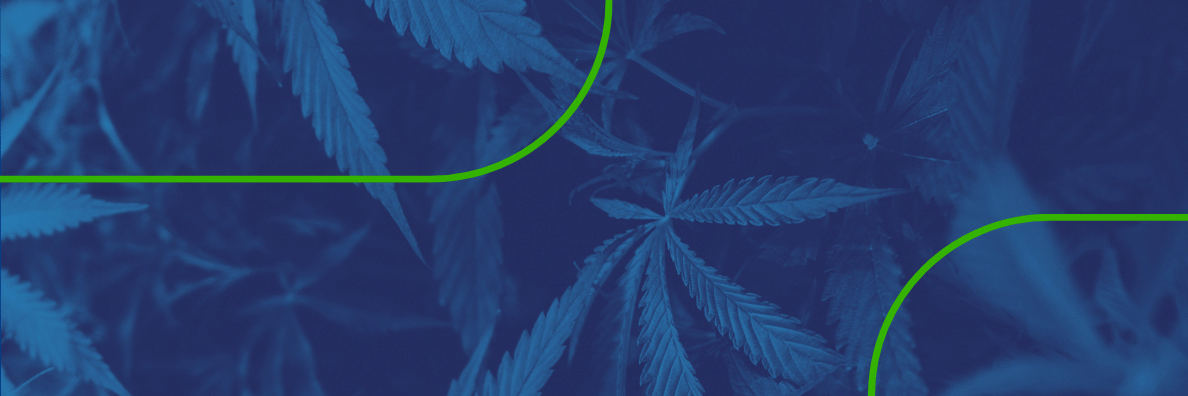 How to Reach Your Cannabis Campaign Audience