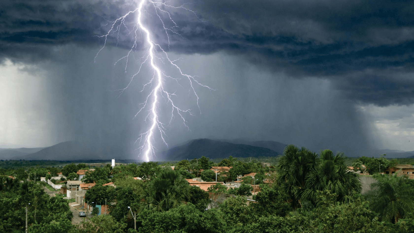 Photo of lightning striking trees